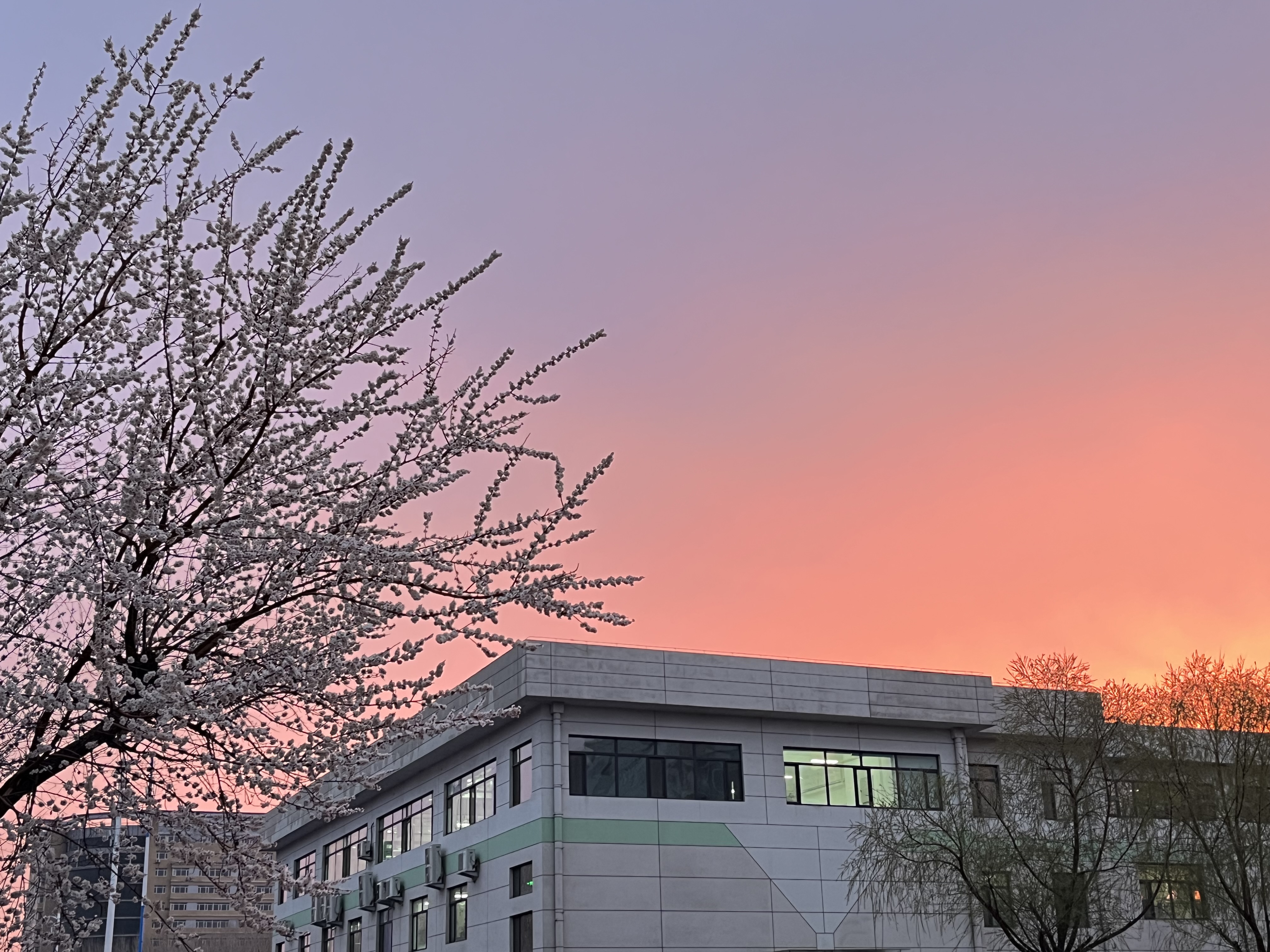 夏日高昂，，，，，，谱写新章_杏耀平台：机械人及智能工厂解决计划专家
